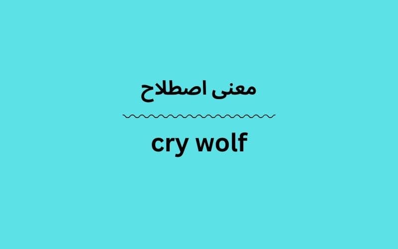 معنی cry wolf