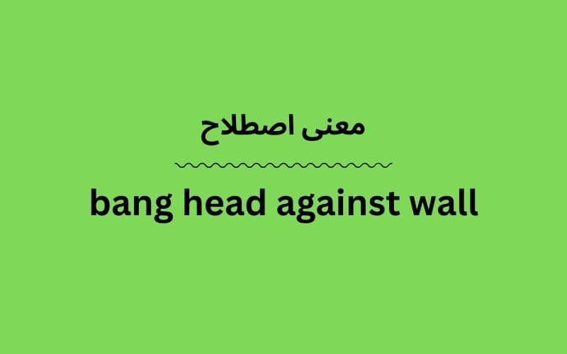 معنی bang head against wall