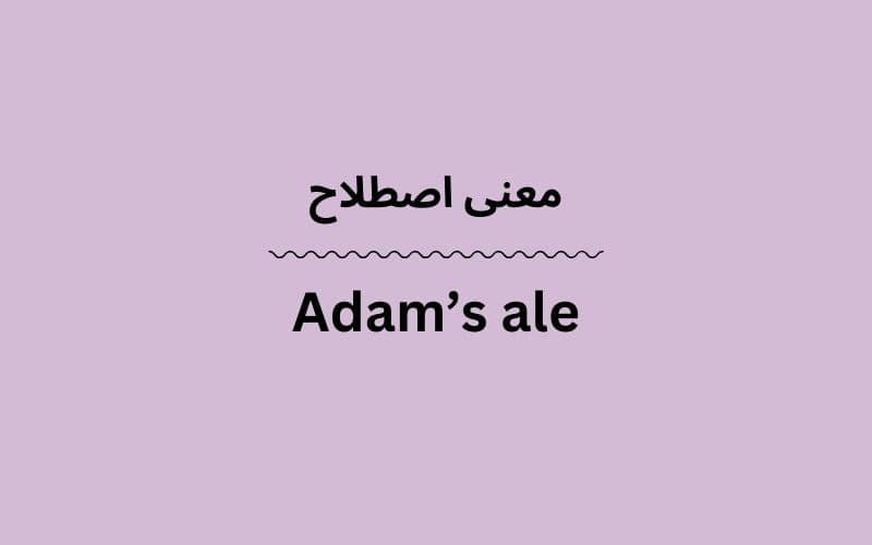 معنی Adam’s ale
