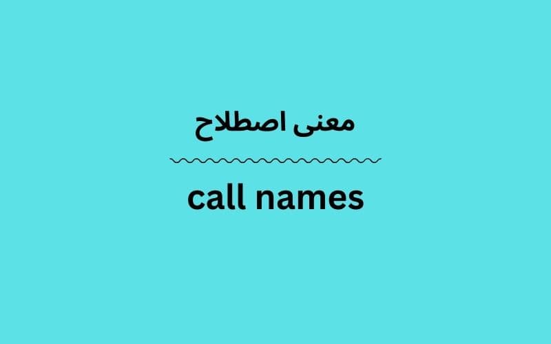 معنی call names