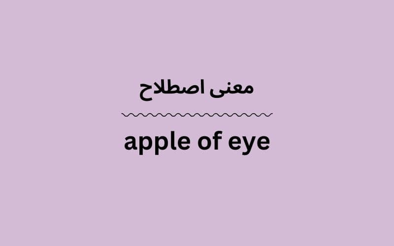 معنی apple of eye