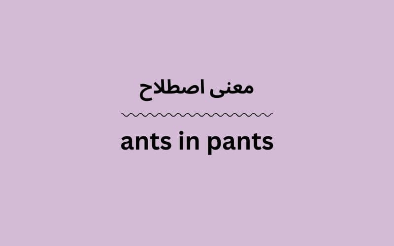 معنی ants in pants
