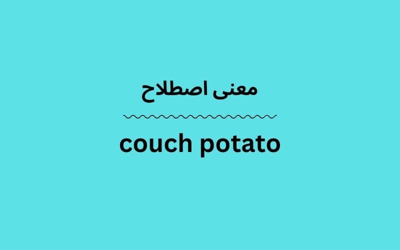 معنی couch potato