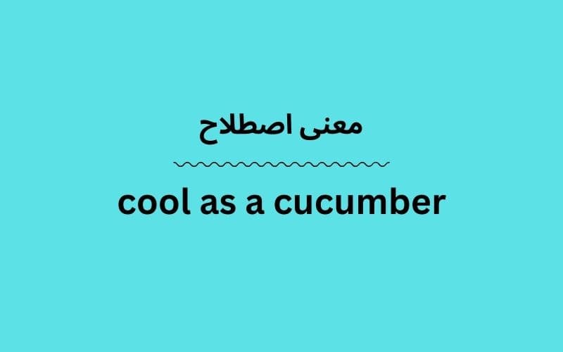 معنی cool as a cucumber