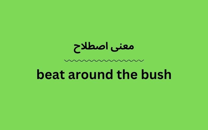 معنی beat around the bush