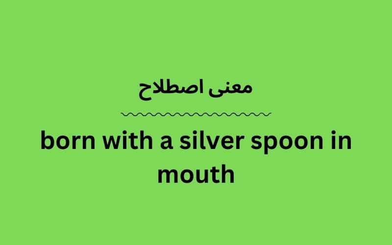 معنی born with a silver spoon in mouth