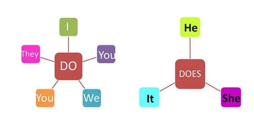 فرق بین Do و does چیست؟ توضیح ساده همراه با مثال