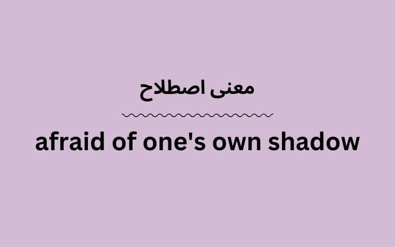 معنی afraid of one's own shadow