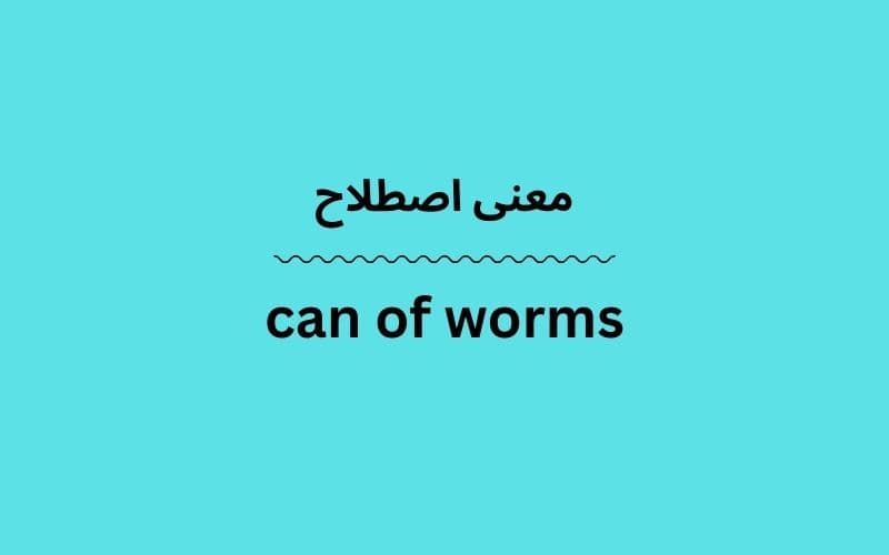 معنی can of worms