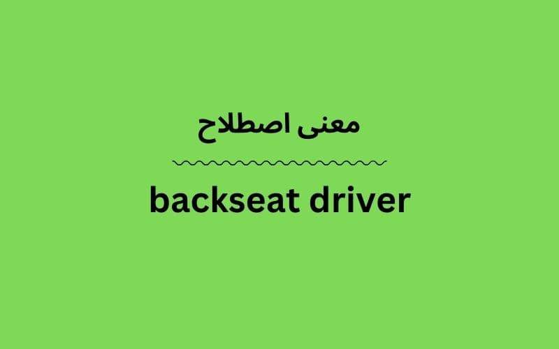 معنی backseat driver