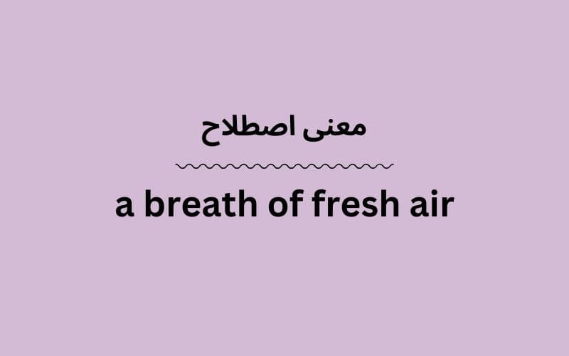 معنی a breath of fresh air