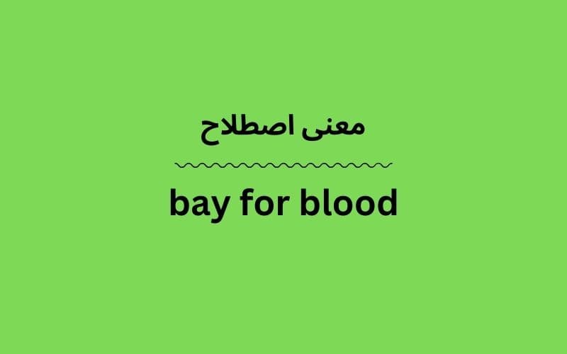 معنی bay for blood