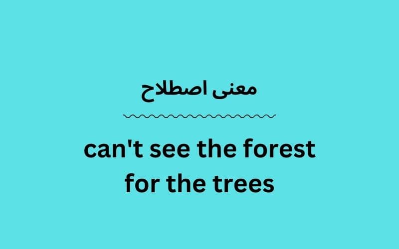 معنی can't see the forest for the trees چیست؟