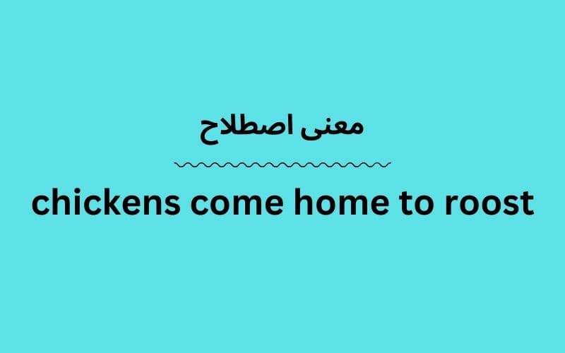 معنی chickens come home to roost چیست؟