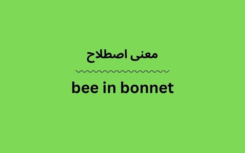 معنی bee in bonnet
