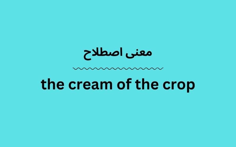معنی the cream of the crop چیست؟