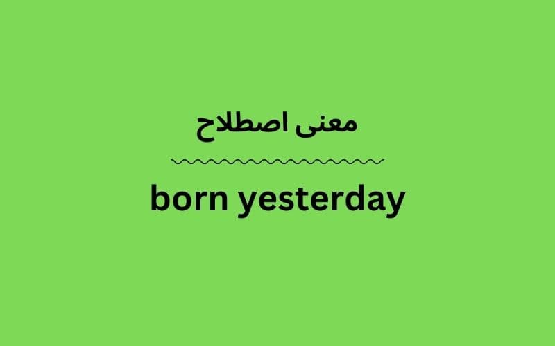 معنی born yesterday