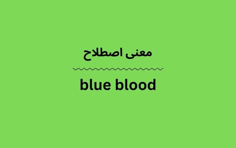معنی blue blood