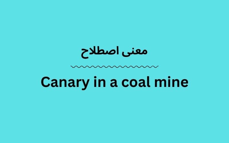 معنی Canary in a coal mine چیست؟
