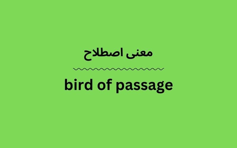 معنی bird of passage