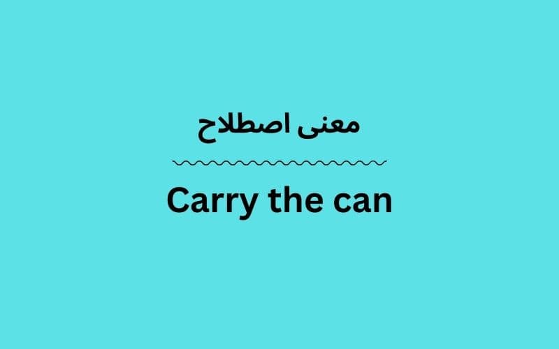 معنی Carry the can چیست؟