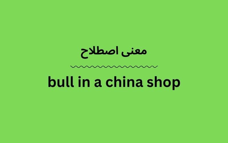 معنی bull in a china shop