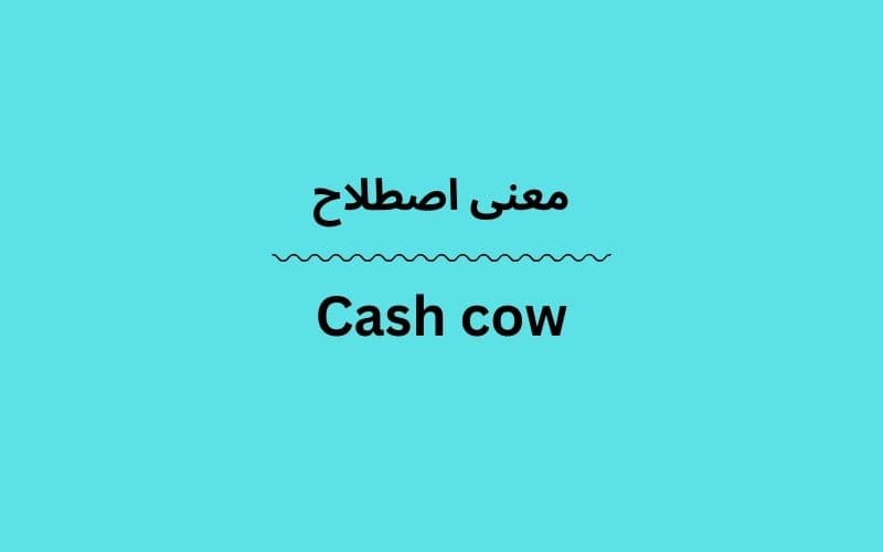 معنی Cash cow چیست؟