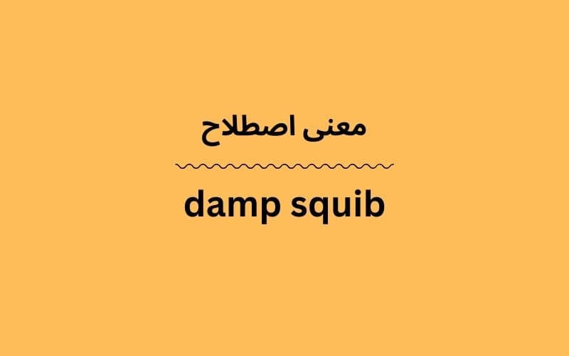 معنی damp squib