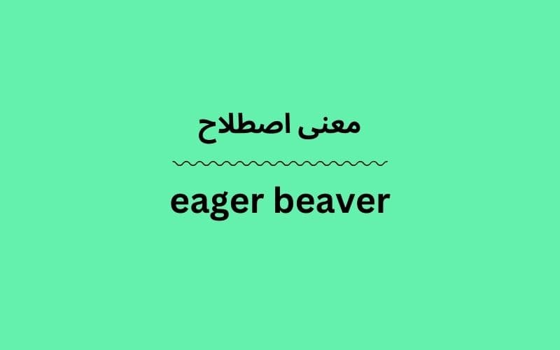 معنی eager beaver