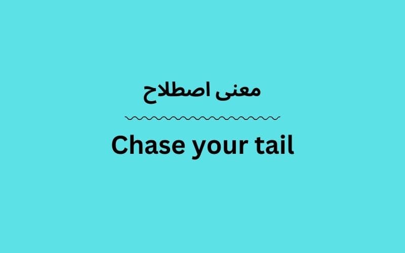 معنی Chase your tail چیست؟