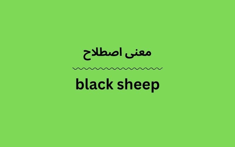 معنی black sheep
