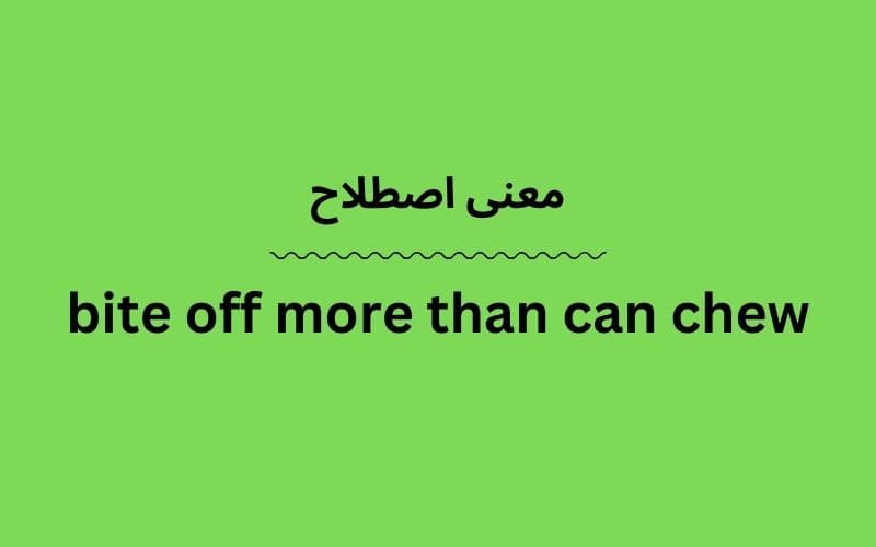معنی bite off more than can chew