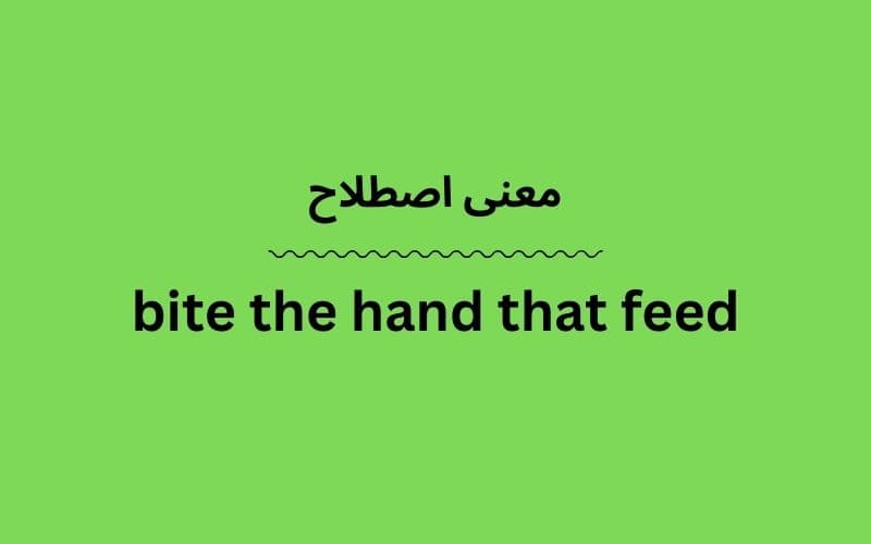 معنی bite the hand that feed