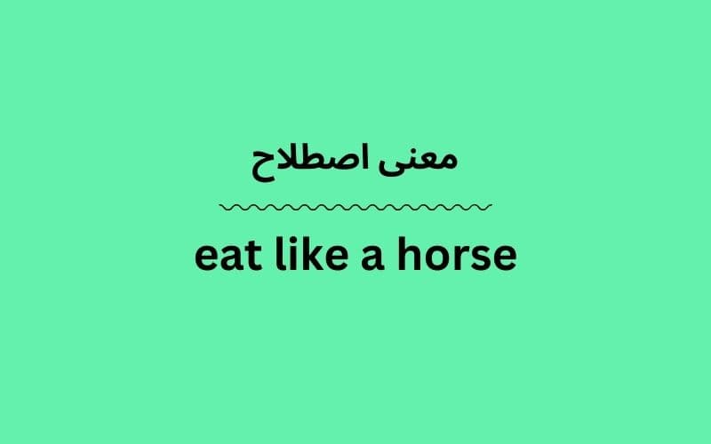 معنی eat like a horse
