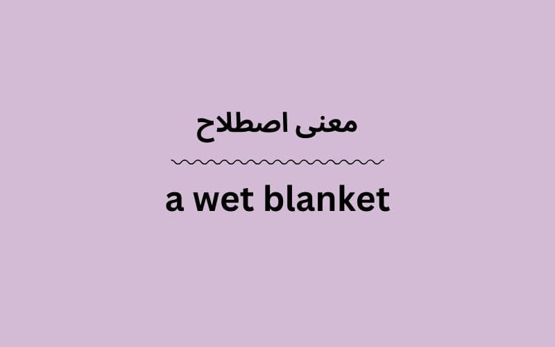 معنی a wet blanket