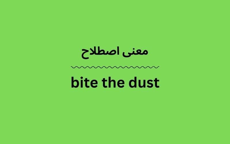 معنی bite the dust