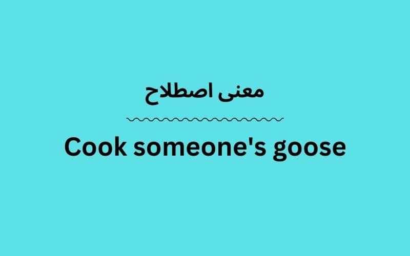 معنی Cook someone's goose چیست؟