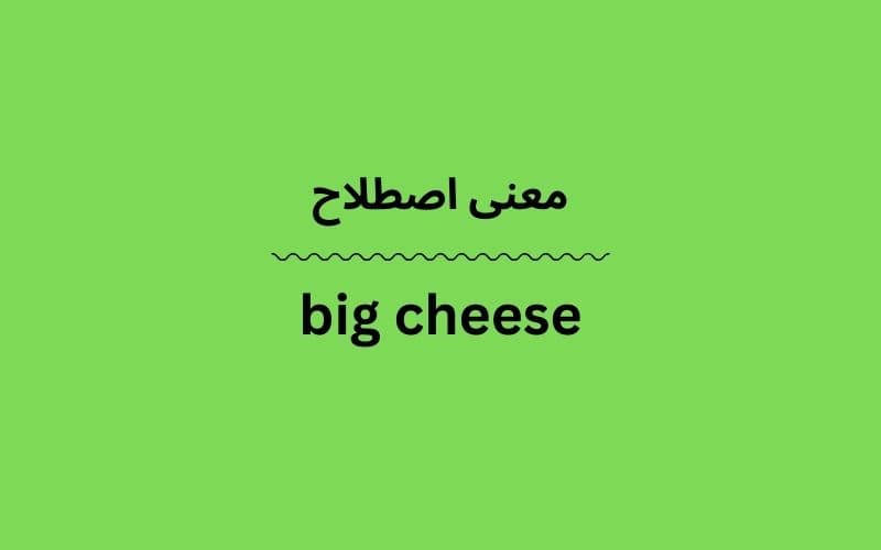 معنی big cheese