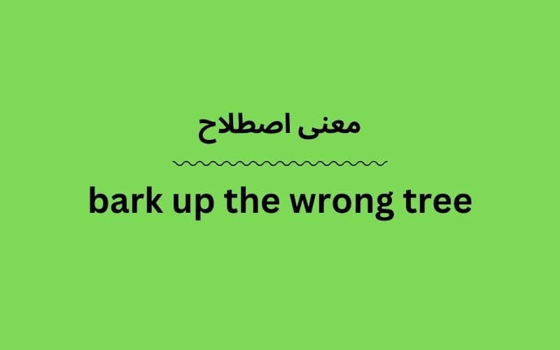 معنی bark up the wrong tree