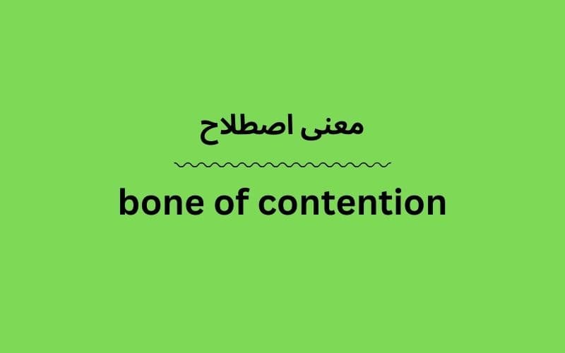 معنی bone of contention