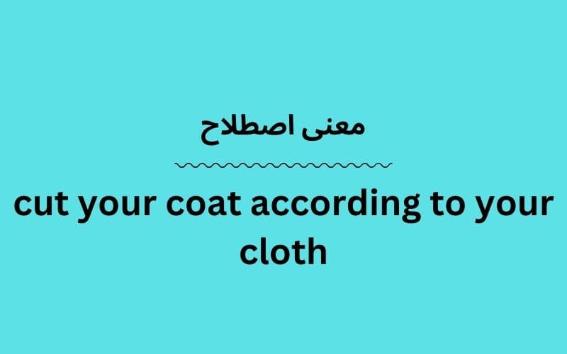 معنی cut your coat according to your cloth