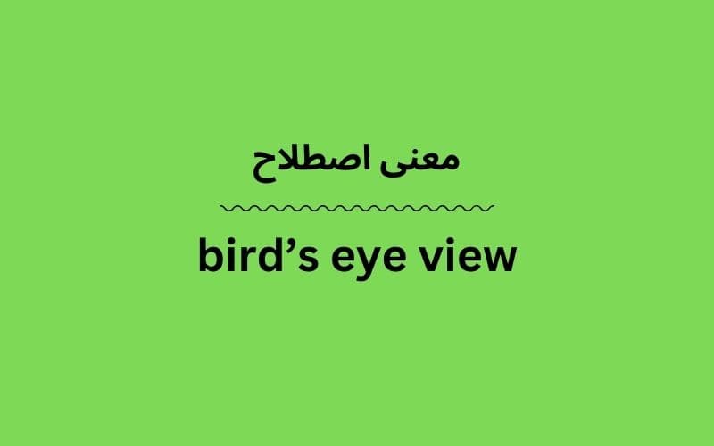معنی bird’s eye view