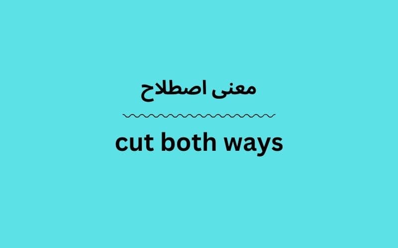 معنی cut both ways