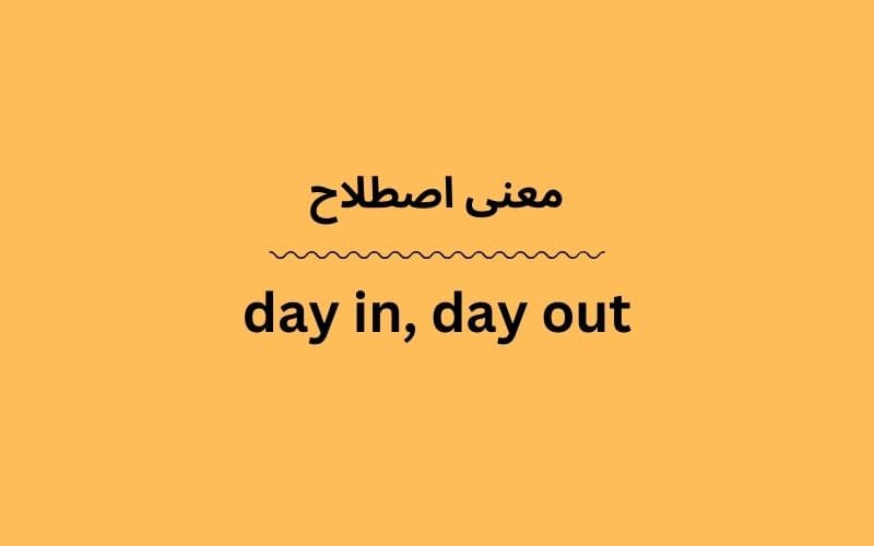معنی day in, day out