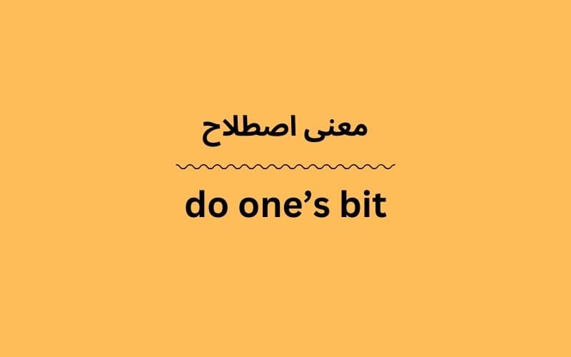 معنی do one’s bit