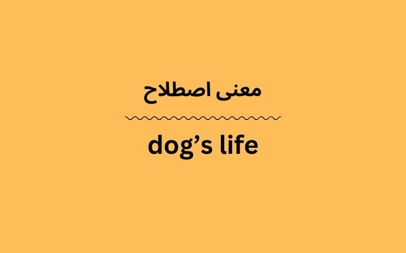 معنی dog’s life