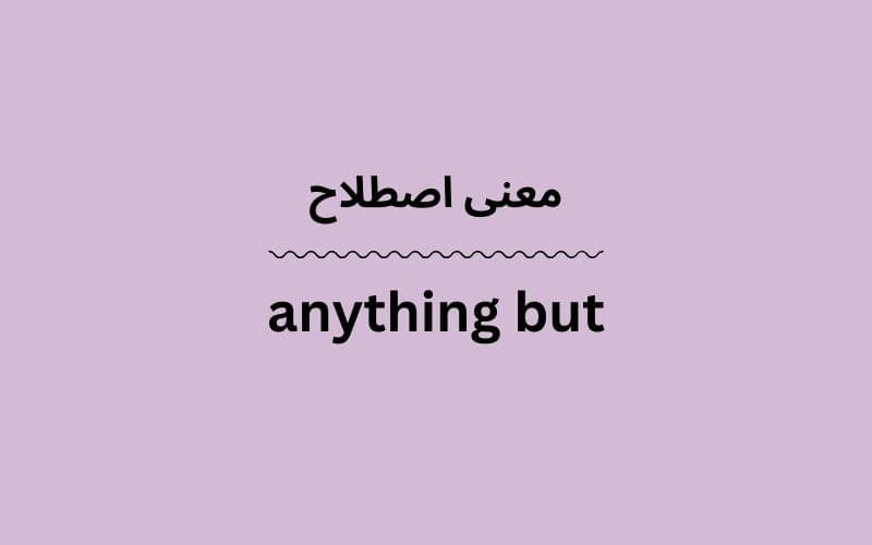 معنی anything but