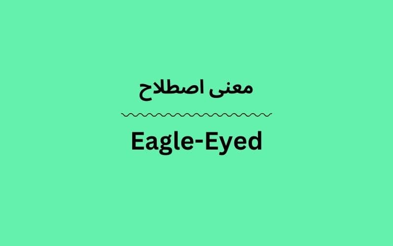 معنی Eagle-Eyed