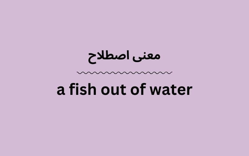 معنی a fish out of water