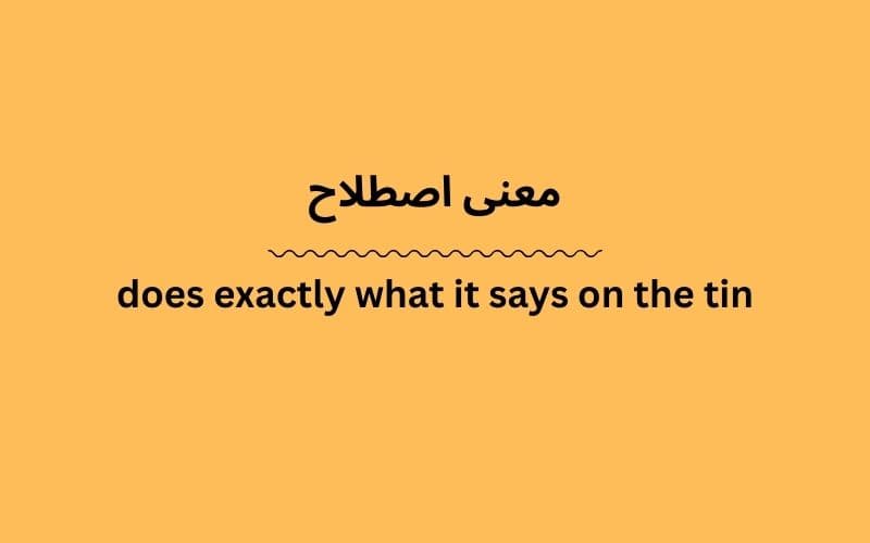 معنی does exactly what it says on the tin